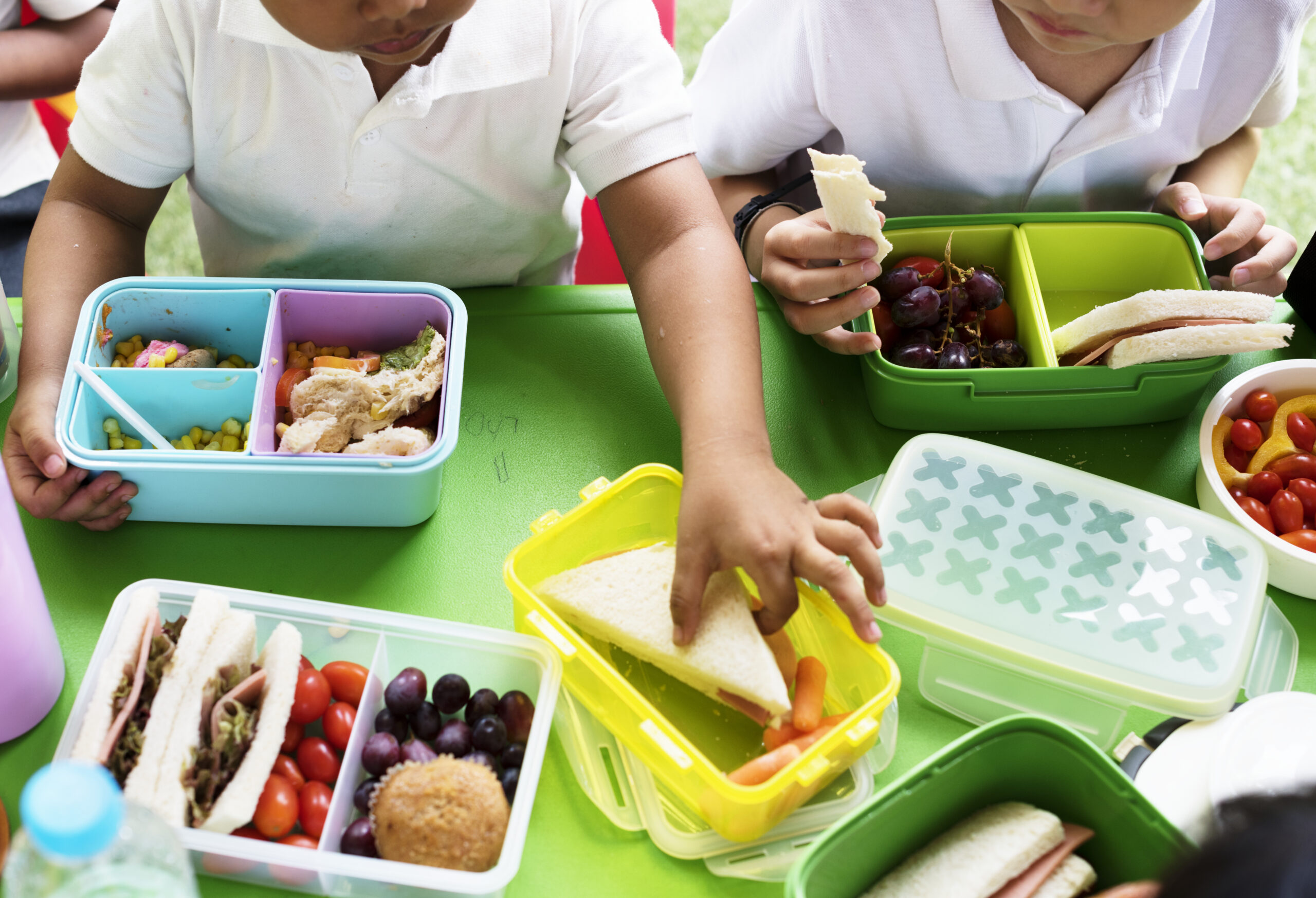 5 Great Lunches to Send to School for Your Child